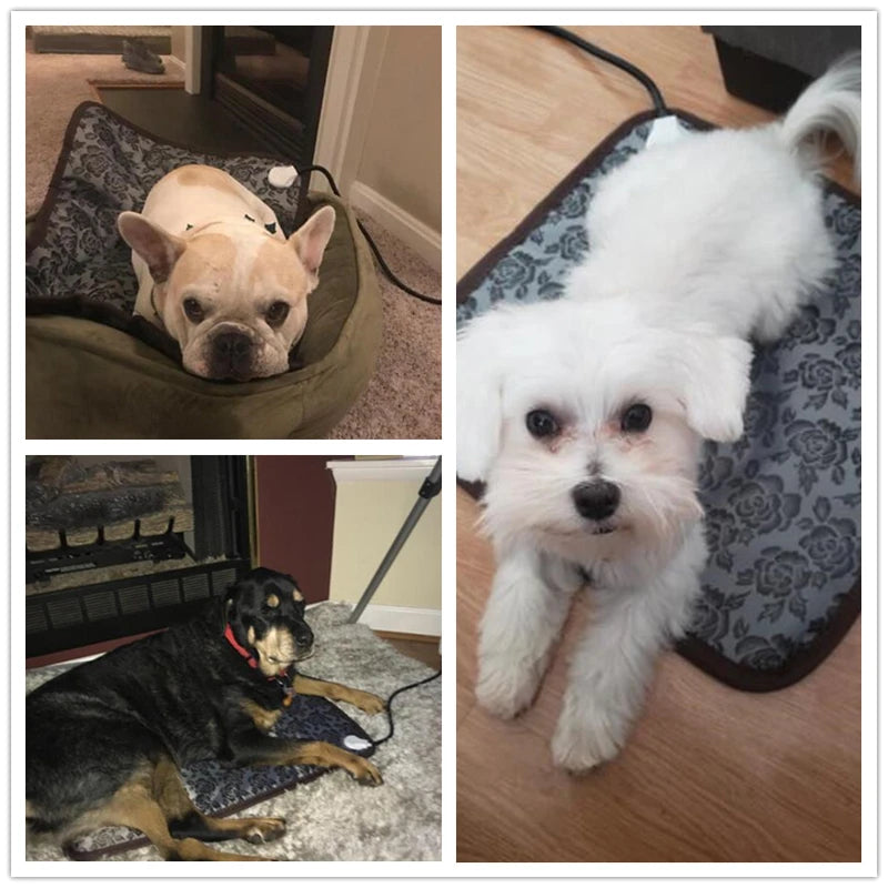 Pet Heating Pad with Auto Shut-Off – Cozy Bed for Dogs & Cats